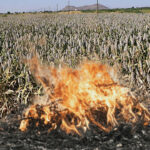 Messenger_creation_4E1683DC-4036-4258-9EAC-F272E91F1CFE