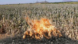 Messenger_creation_4E1683DC-4036-4258-9EAC-F272E91F1CFE