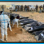 Messenger_creation_66375FE2-02FE-4926-8280-9B5D20A438B2